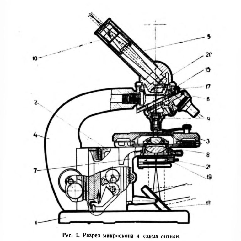 Рассмотрите изображение микроскопа рис 1 что обозначено на рисунке буквой е