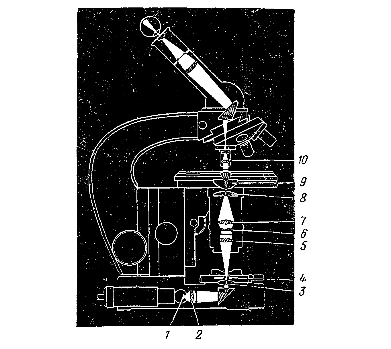 Оптический микроскоп схема