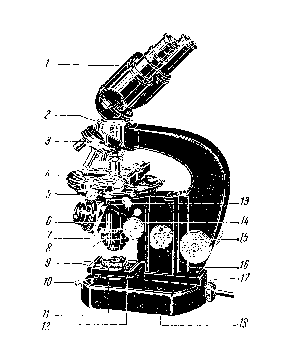 Электронный микроскоп рисунок